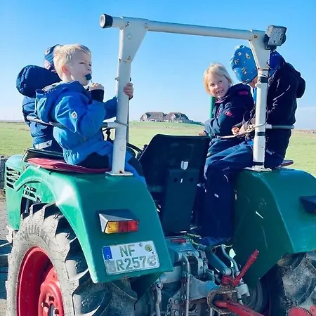 公寓 Amrum
